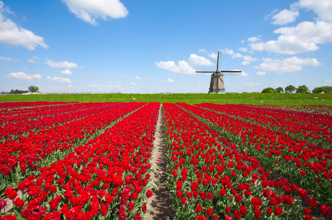 holland-in-one-day-sightseeing-tour-in-amsterdam-115758